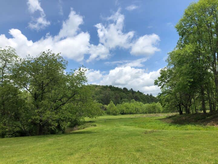 Suches Creek Retreat Hipcamp in Suches,