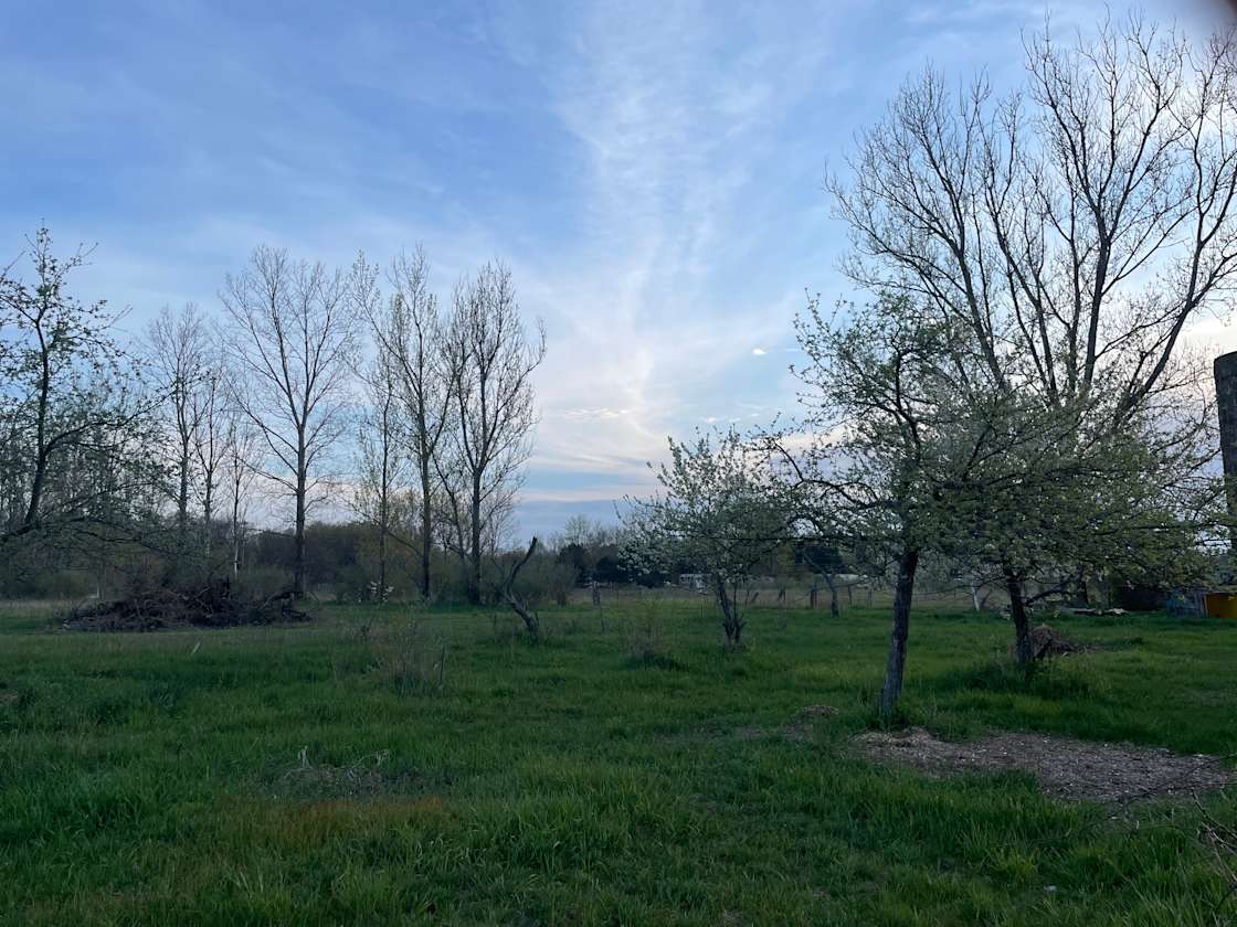 Soul Fire Forest Hipcamp in New Era, Michigan