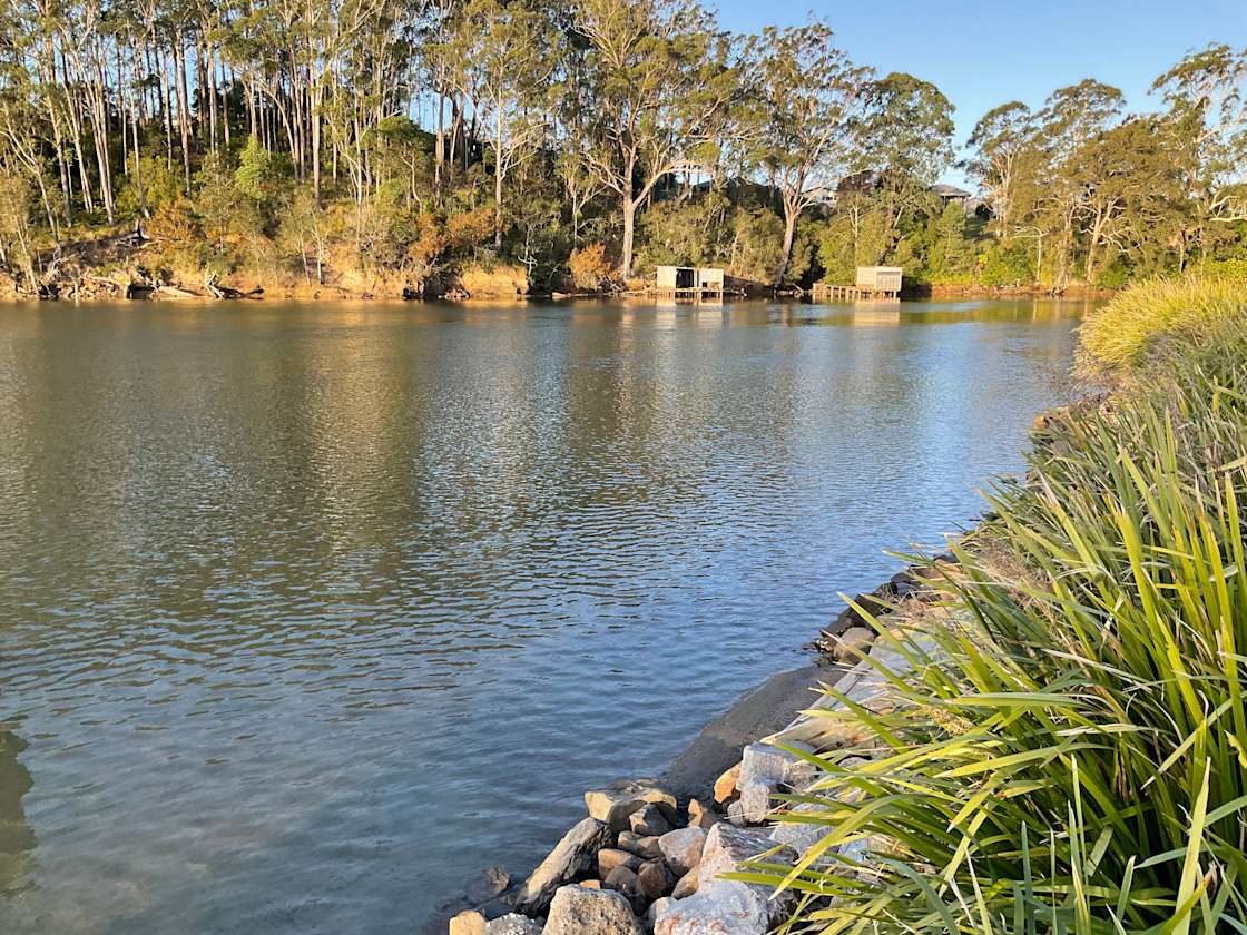 Anchorage Park Hipcamp in Urunga, New South Wales