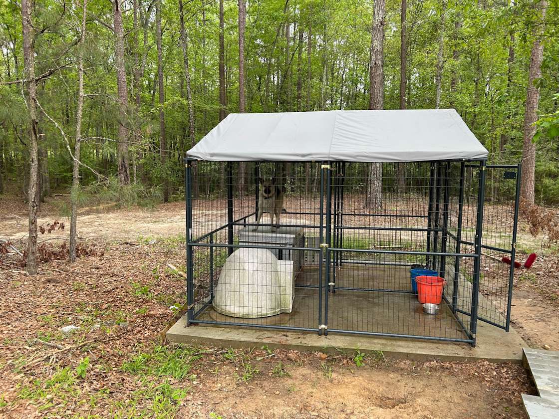 Sow King Ranch Hipcamp in Lagrange,