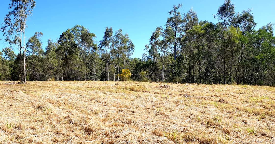 Gumtree Lakeside Camp Hipcamp in Traveston, Queensland