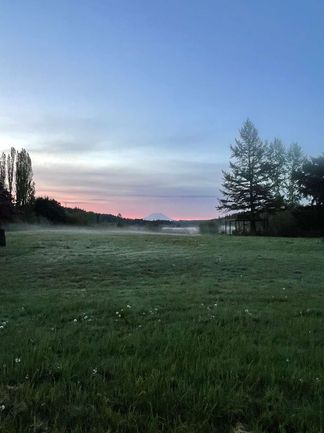 Peppercorn Farms Hipcamp in Olympia, Washington