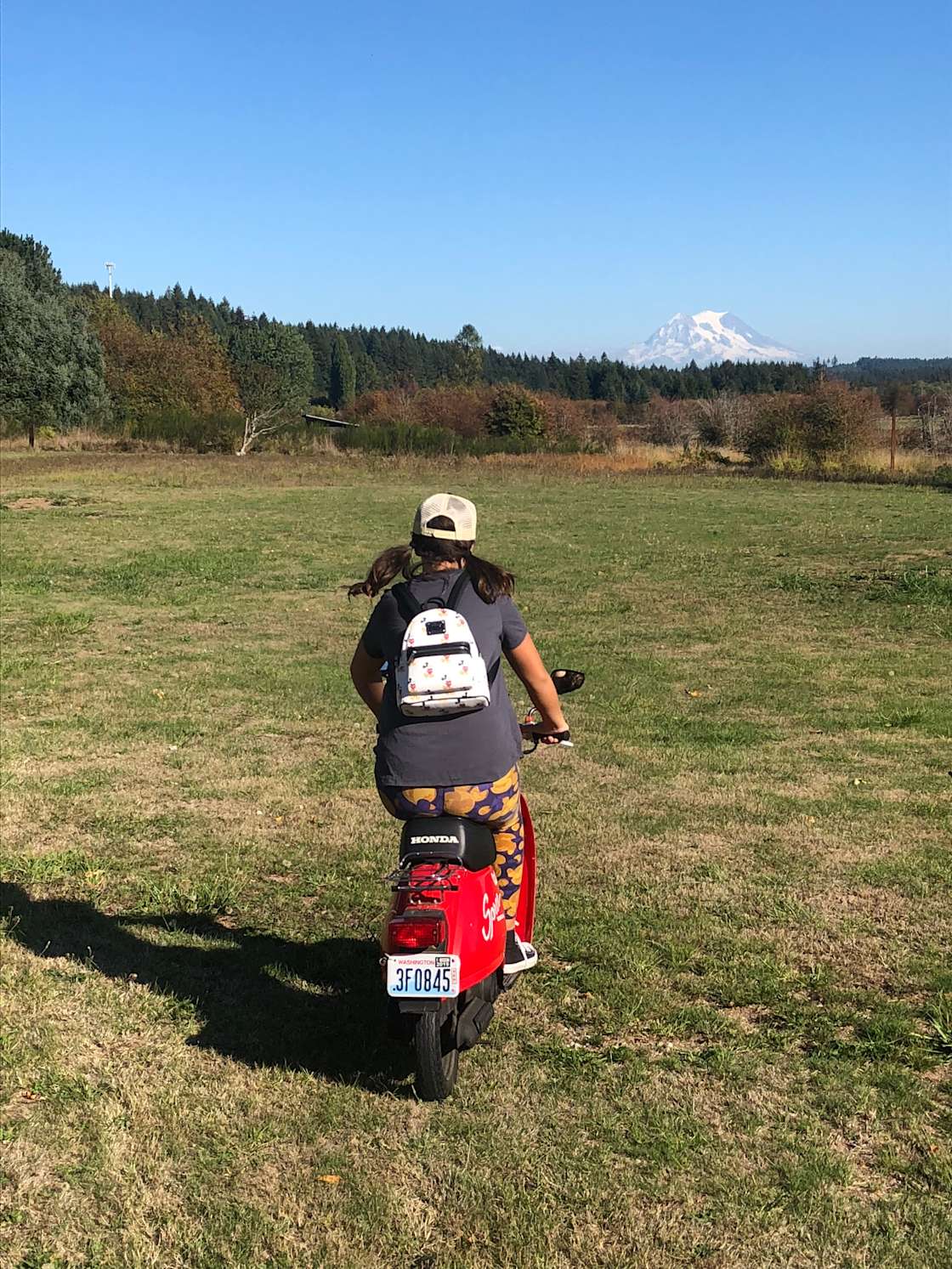 Peppercorn Farms Hipcamp in Olympia, Washington