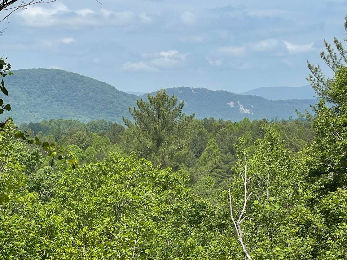 Taylor Estates Hipcamp in Hays, North Carolina