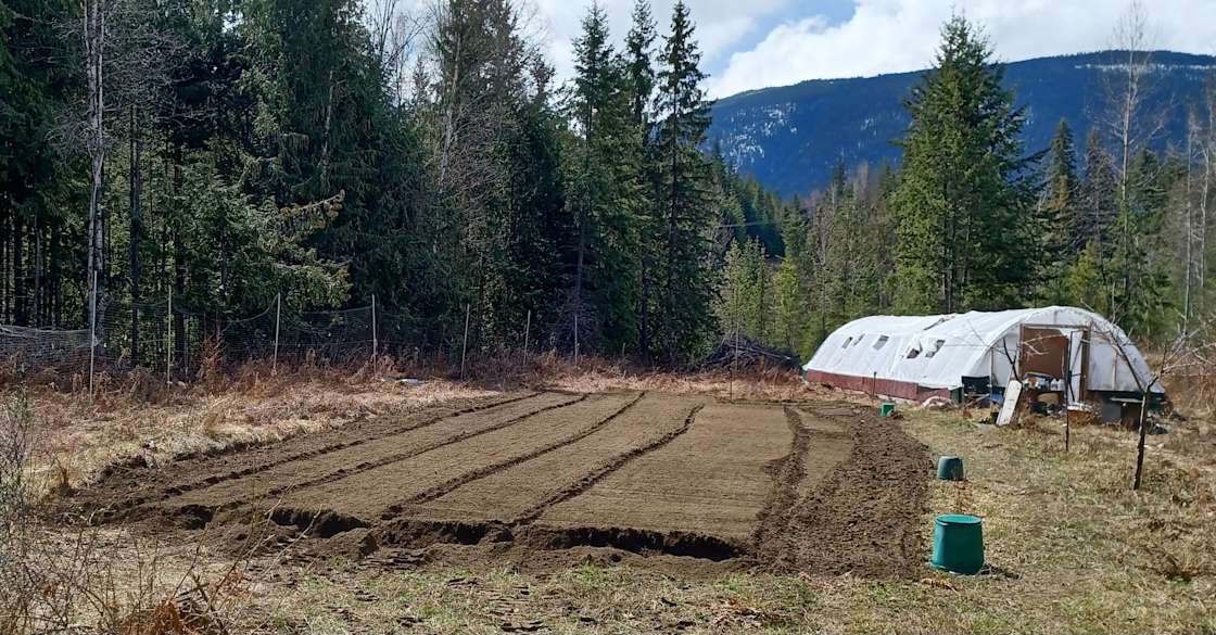 Caribou Creek Market Gardens Hipcamp in Nakusp, British Columbia