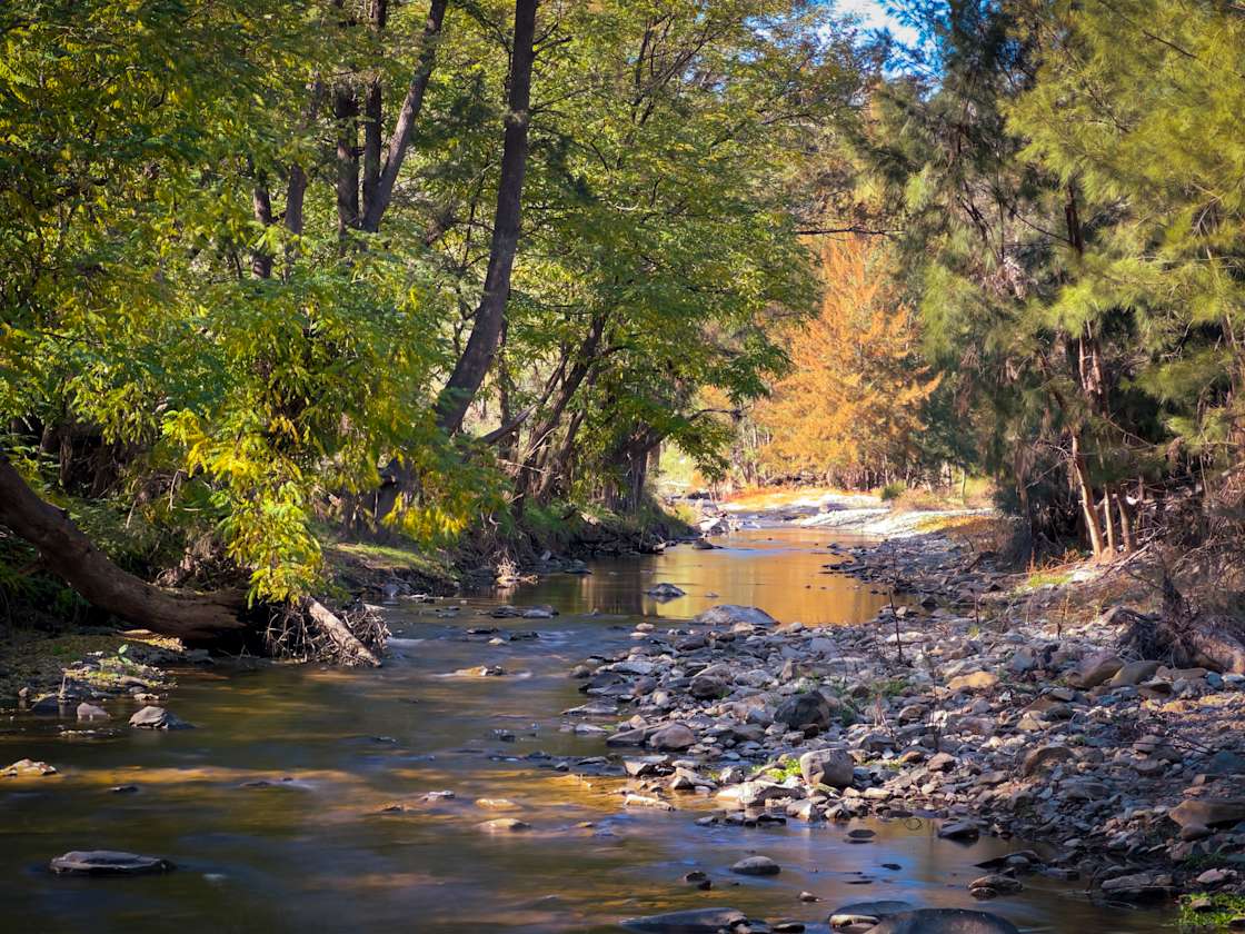 Nuggetty Creek, Crudine Hipcamp in Bathurst, New South Wales