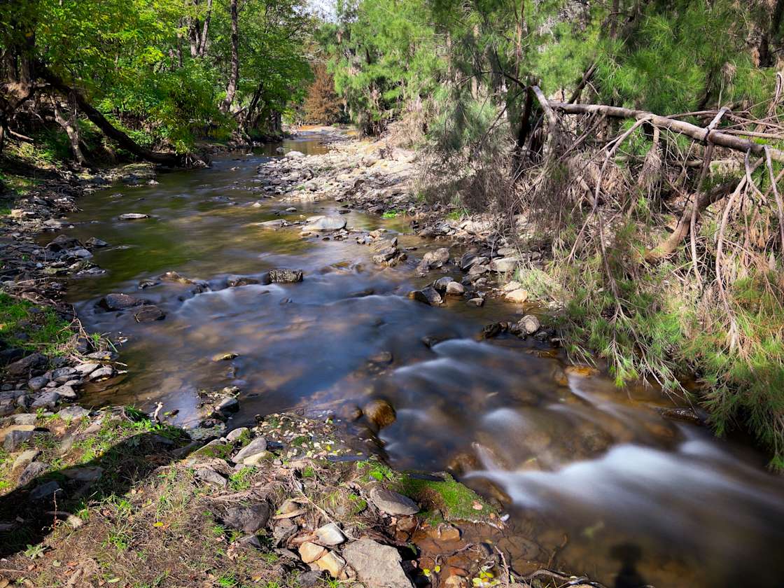Nuggetty Creek, Crudine Hipcamp in Bathurst, New South Wales