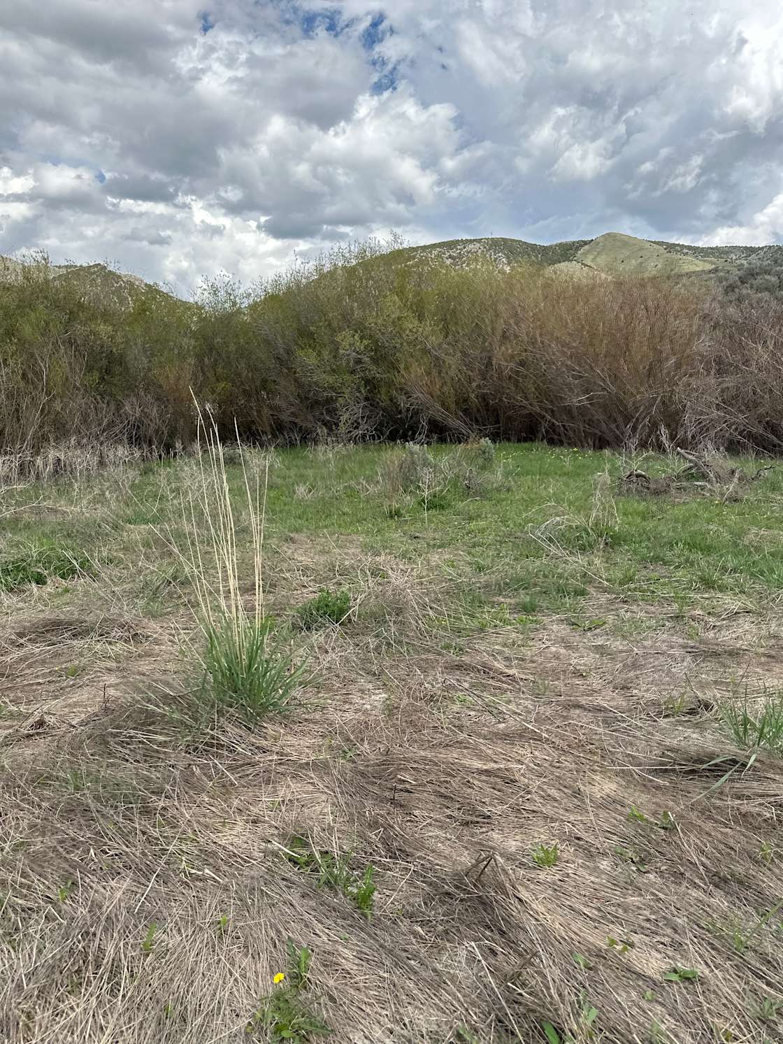 Wolverine Adventures Hipcamp in Firth, Idaho