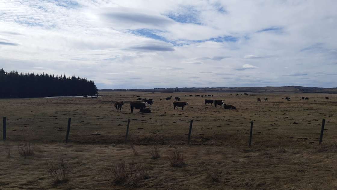The Great White North Campgrounds Hipcamp in Lac La Biche, Alberta