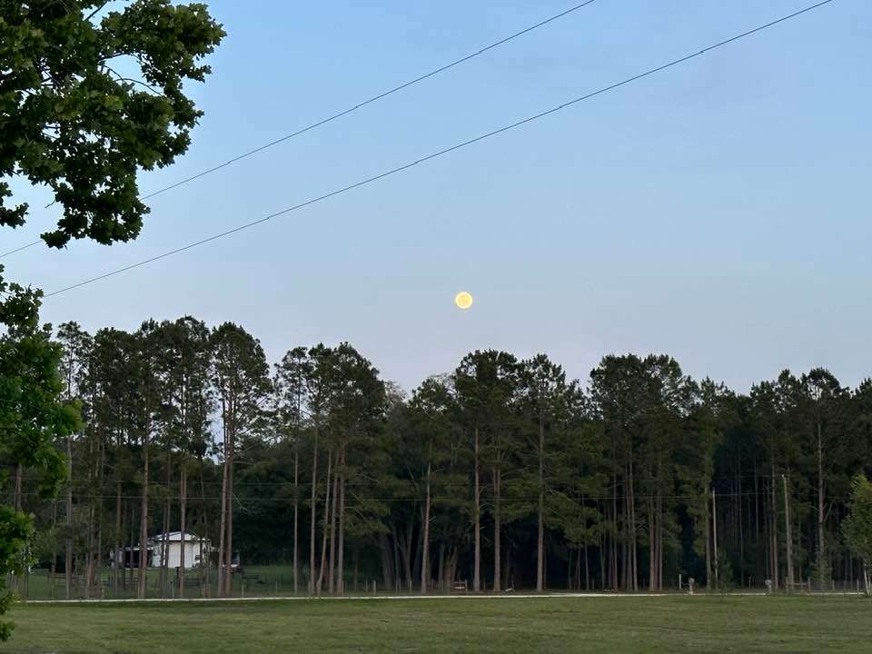 The Dood Ranch - Hipcamp in Lake City, Florida