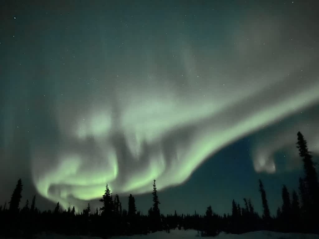 Stump Creek B&B - Hipcamp In Eureka Roadhouse, Alaska