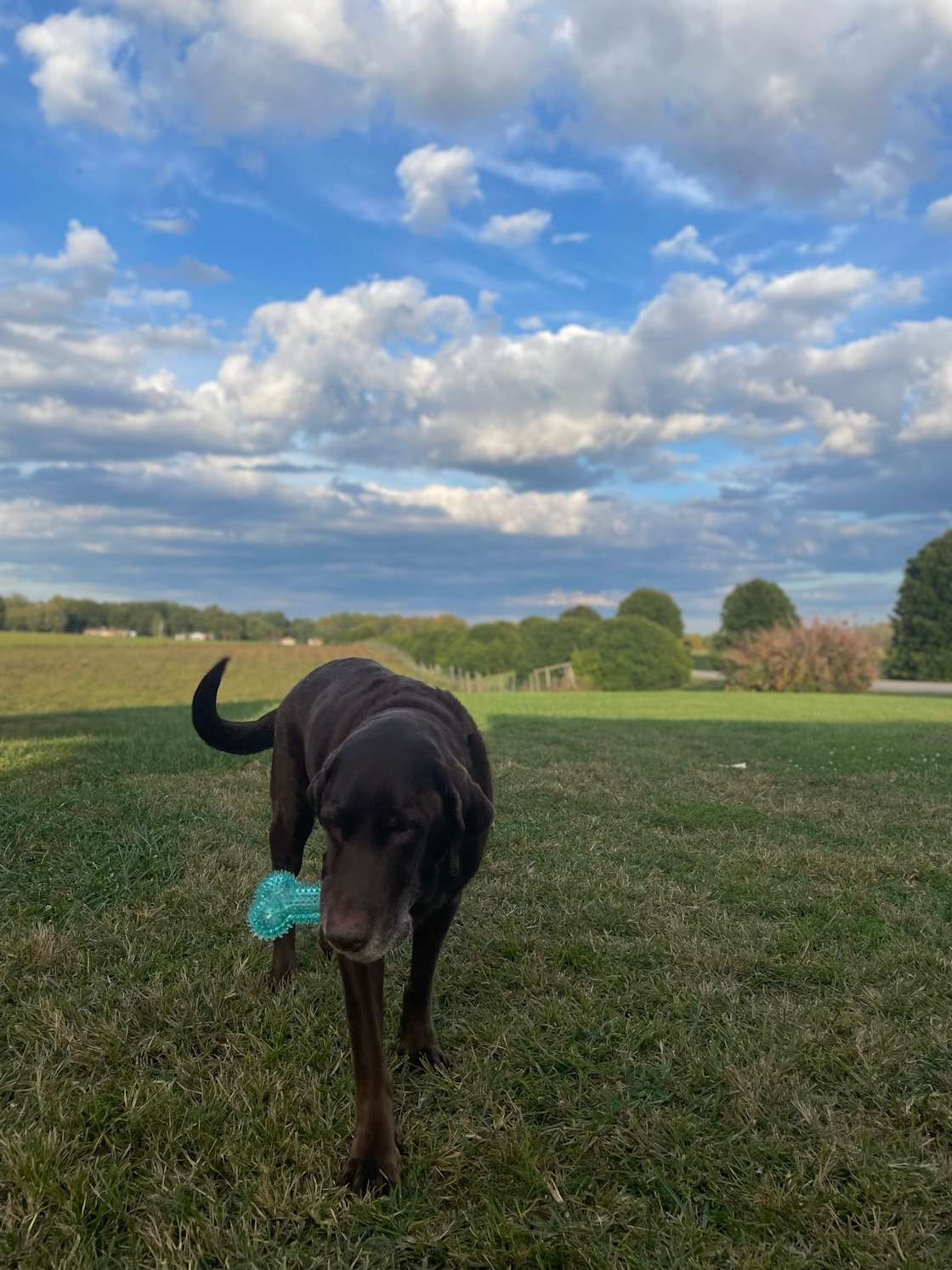 South Fork Farm Hipcamp in Patrick Springs, Virginia