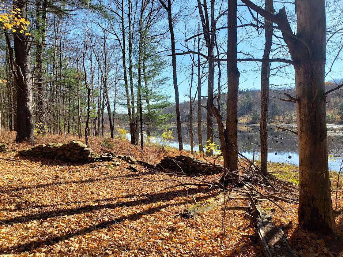 Whitetail Meadows Hipcamp in Sprakers, New York