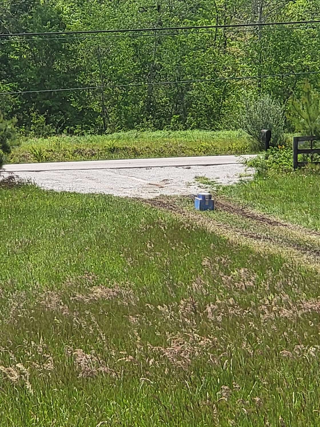 Slyfox Primitive Tenting & VENUE Hipcamp in Altamont, Tennessee