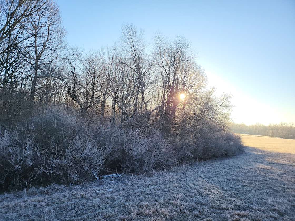 Slyfox Primitive Tenting & VENUE Hipcamp in Altamont, Tennessee