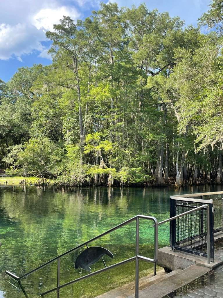 Manatee Springs Glamping Hipcamp in Chiefland, Florida