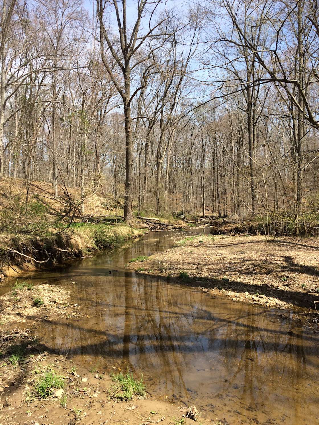 Kingsville Camp Grounds Hipcamp in Upper Falls, Maryland
