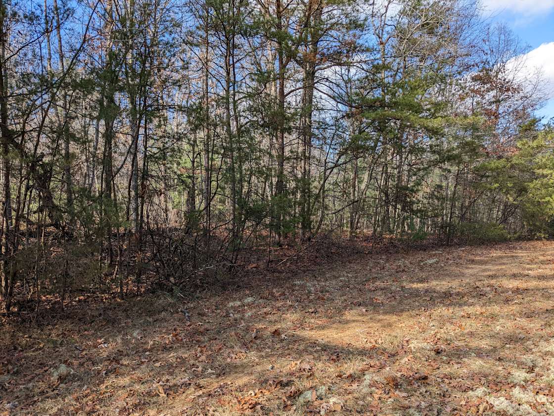 Failed Housing Development Hipcamp in Crossville, Tennessee