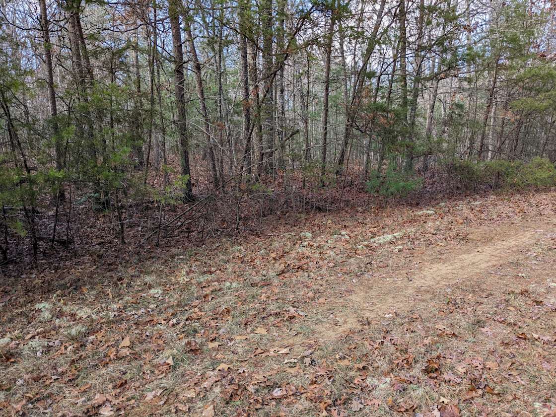 Failed Housing Development Hipcamp in Crossville, Tennessee