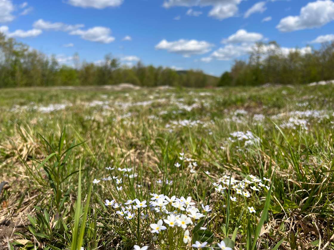 Limington Getaway Hipcamp in Limington, Maine