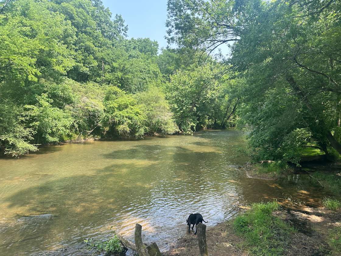 Firefly on Big Cedar Hipcamp in Cave Spring,