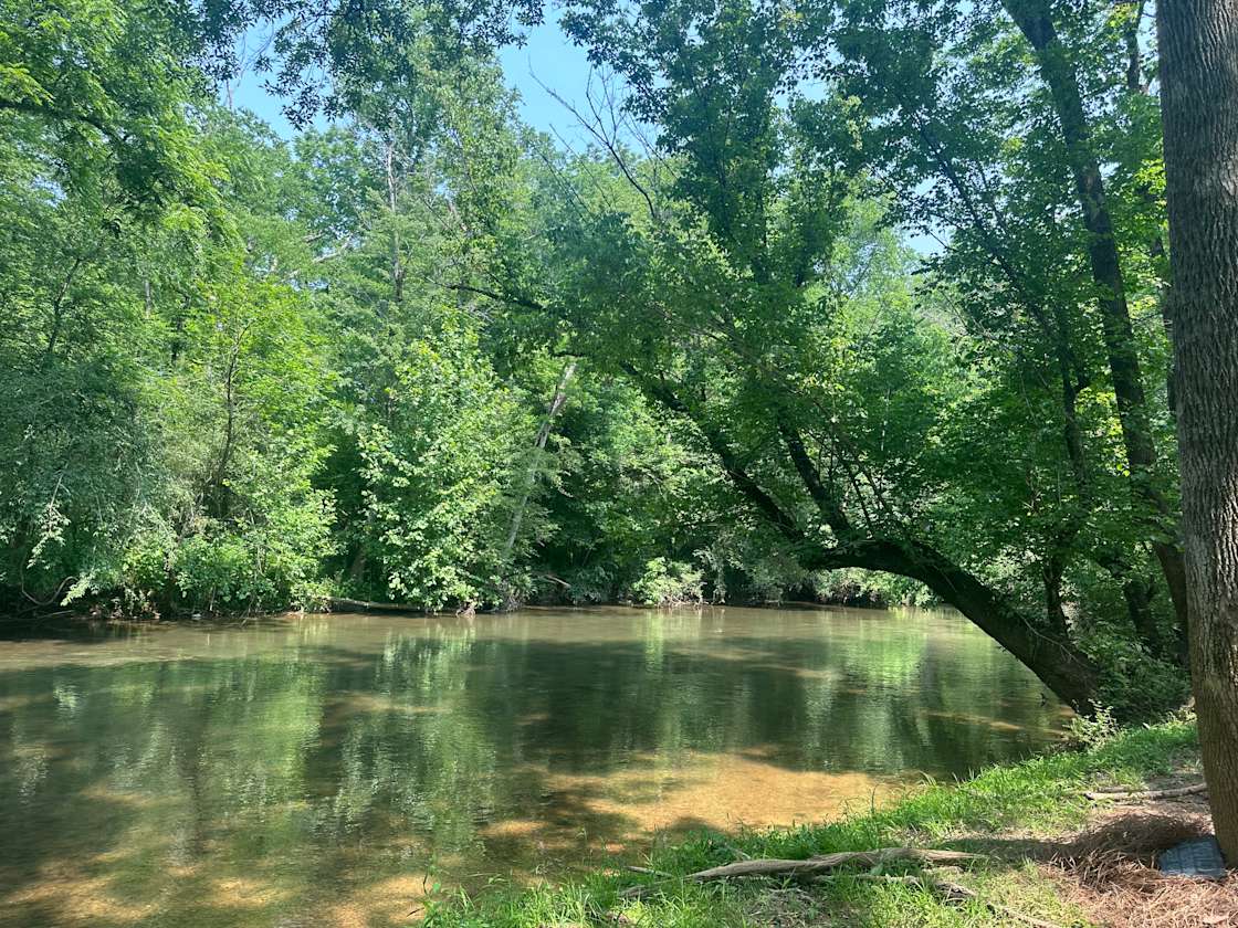 Firefly on Big Cedar Hipcamp in Cave Spring,