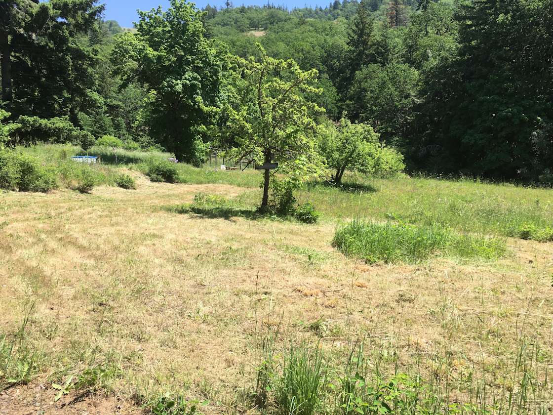 White Salmon Wonderland Hipcamp in White Salmon, Washington