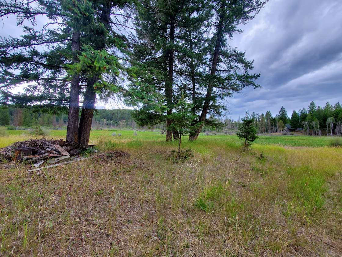Trego Camping Lot Near Dickey Lake Hipcamp in Fortine, Montana