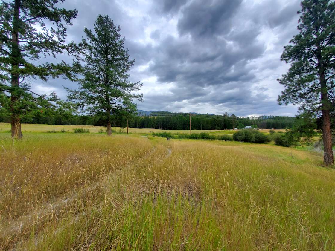 Trego Camping Lot Near Dickey Lake Hipcamp in Fortine, Montana