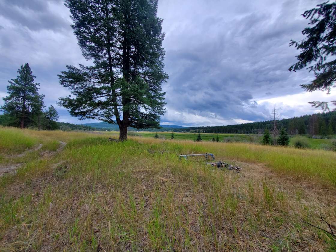 Trego Camping Lot Near Dickey Lake Hipcamp in Fortine, Montana