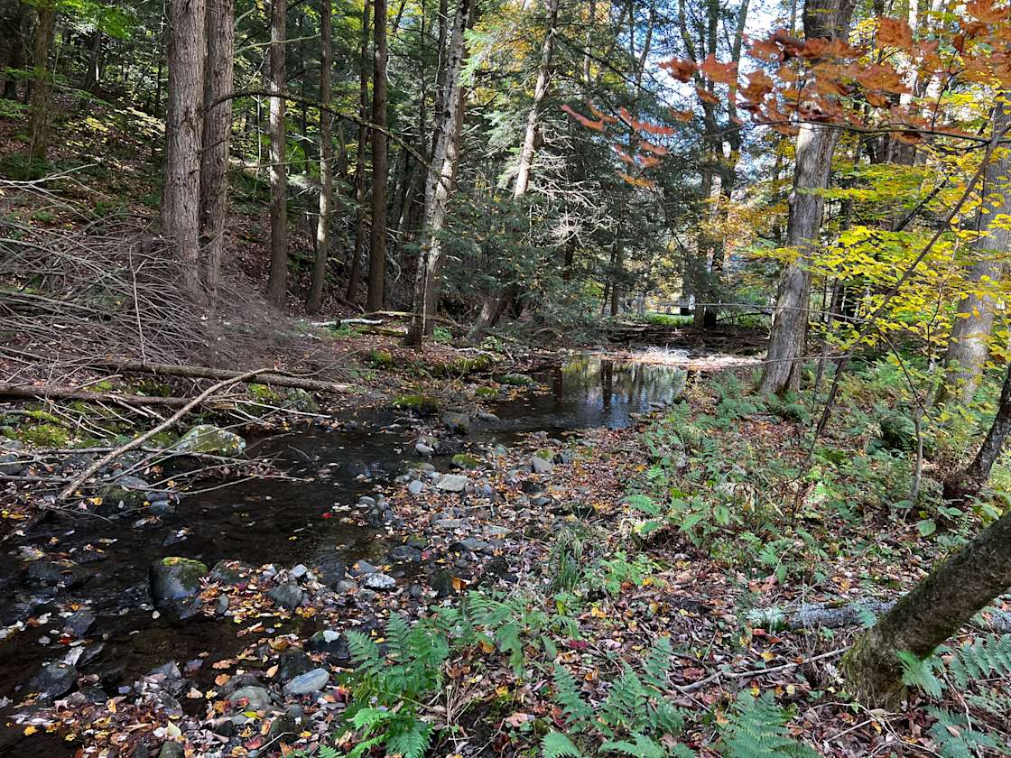 Harvey’s Place Creekside Hipcamp in Austerlitz, New York