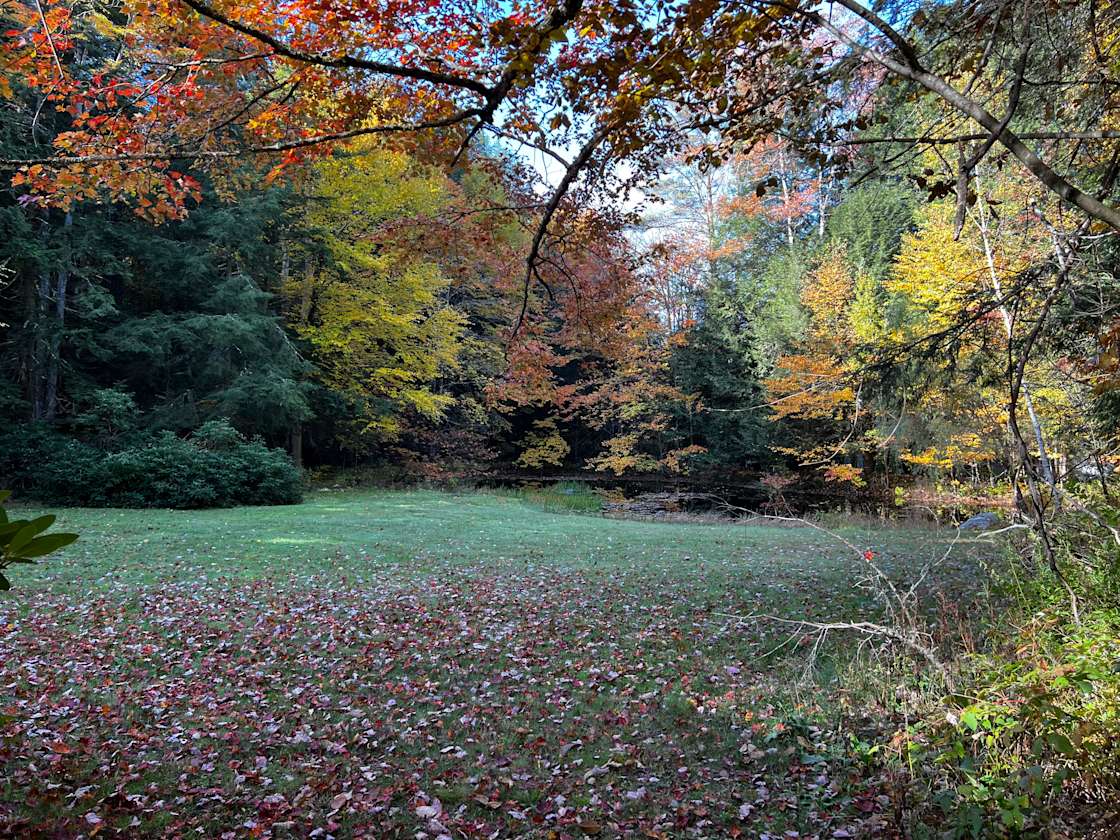 Harvey’s Place Creekside Hipcamp in Austerlitz, New York
