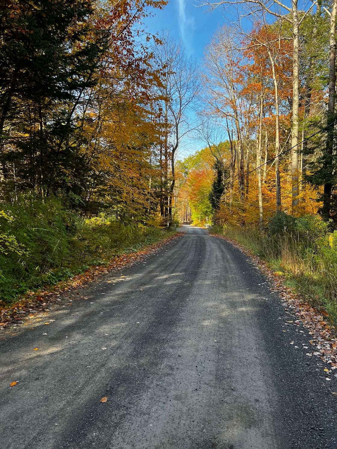 Harvey’s Place Creekside Hipcamp in Austerlitz, New York