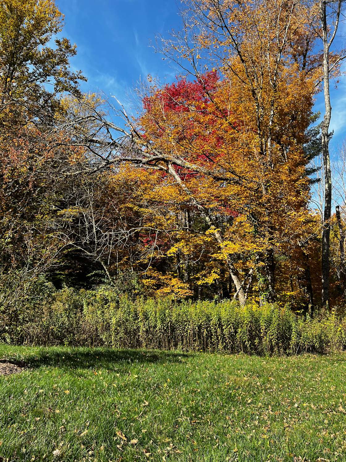 Harvey’s Place Creekside Hipcamp in Austerlitz, New York