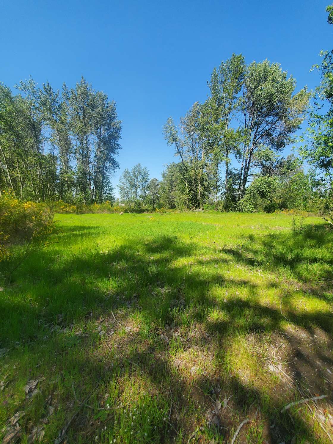 Cowlitz River Sandy Edge Campground Hipcamp in Castle Rock, Washington