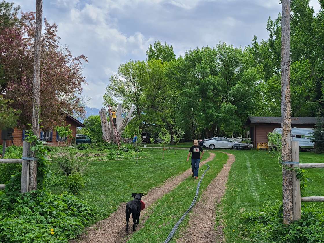 Steep Mountain Farm Hipcamp in Wellsville, Utah