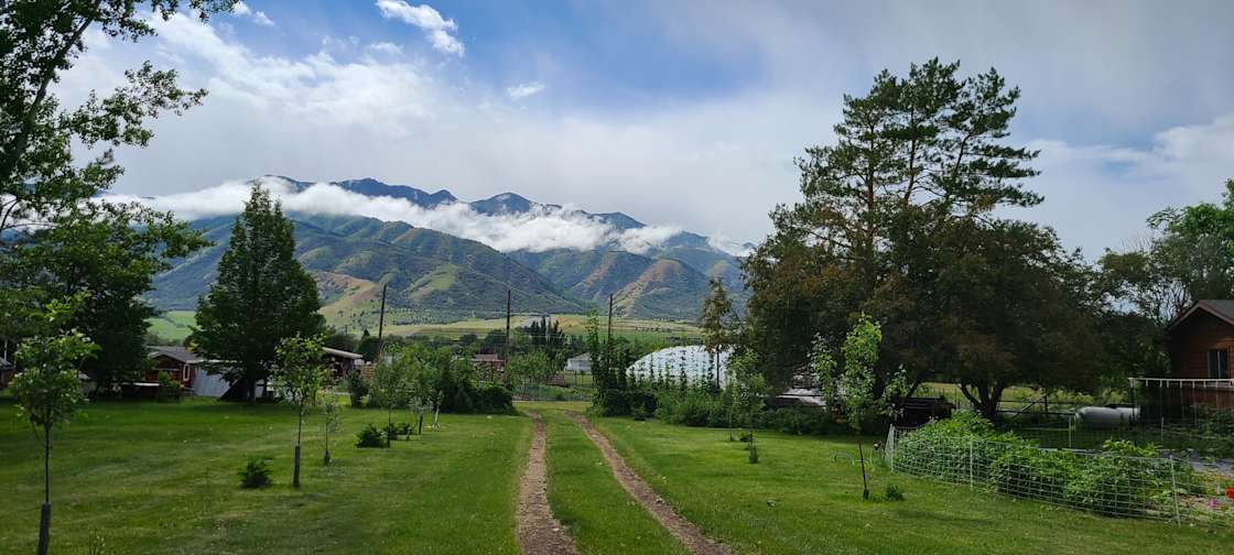 Steep Mountain Farm - Hipcamp in Wellsville, Utah