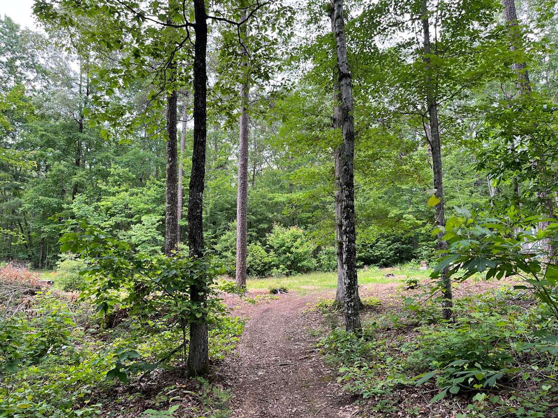 Tumble Down Shack - Hipcamp in Long Creek, South Carolina