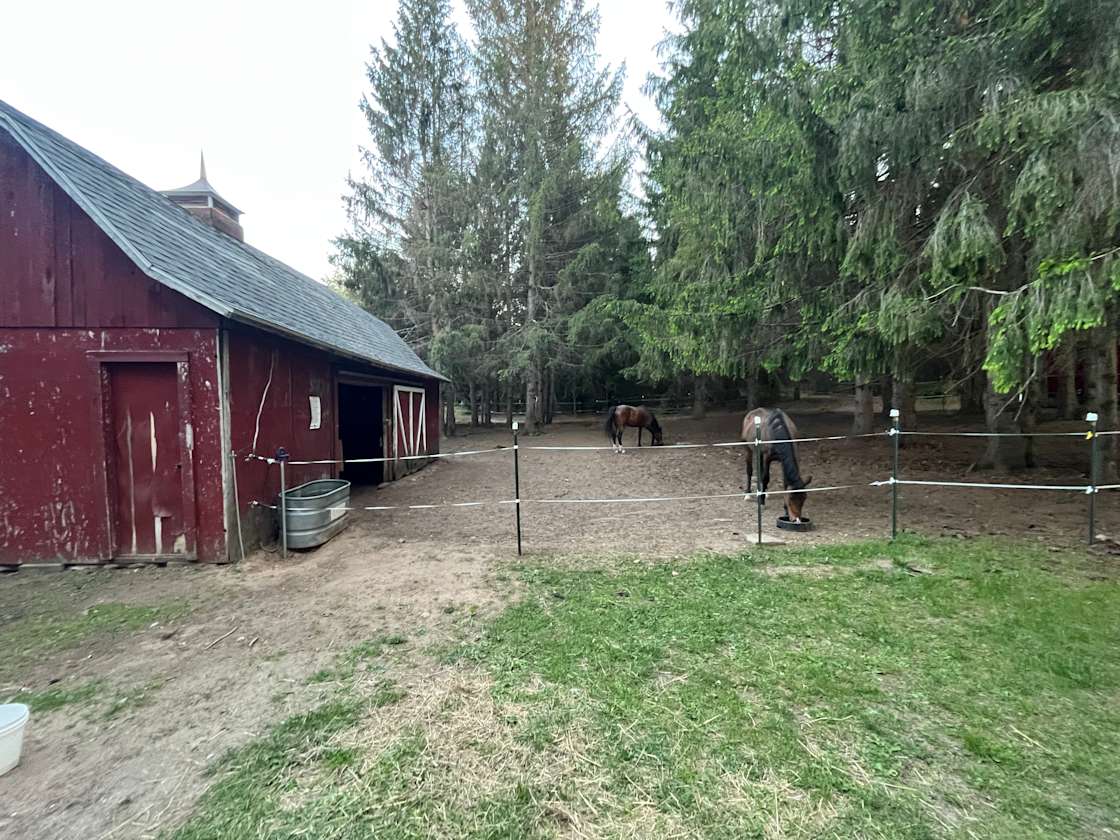 Brown Family Farm Hipcamp in Lake Ann, Michigan