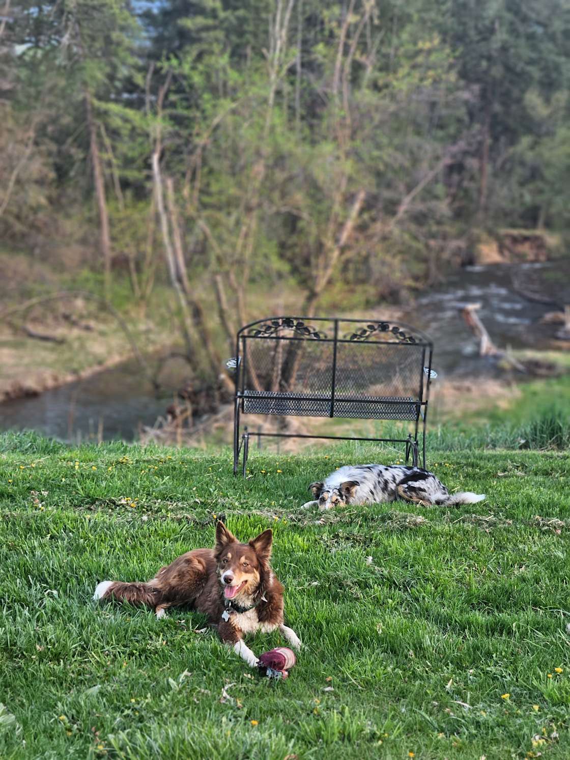Mission Falls Ranch Hipcamp in St Ignatius, Montana