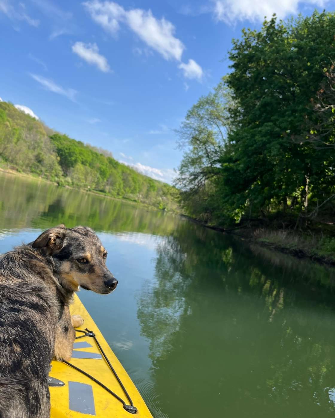 Sterling Lake Hipcamp in Smock, Pennsylvania
