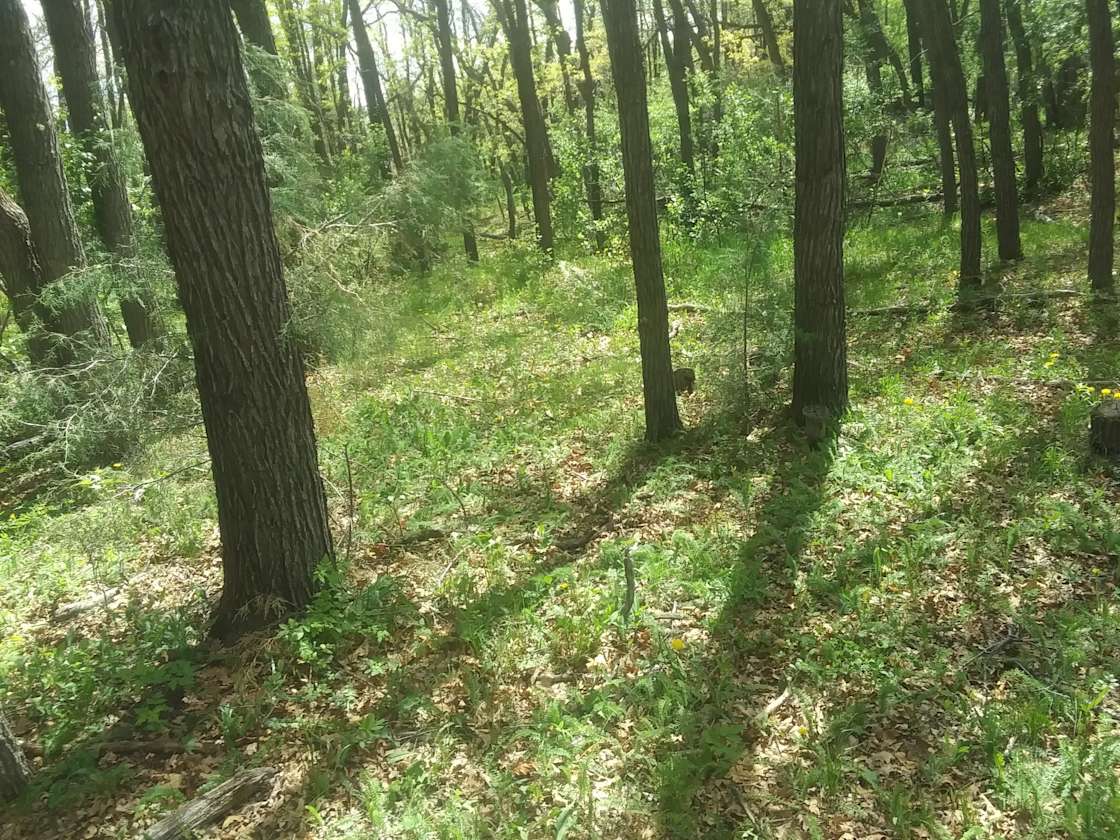 Circle A Ranch, Cuba New Mexico Hipcamp in Cuba, New Mexico