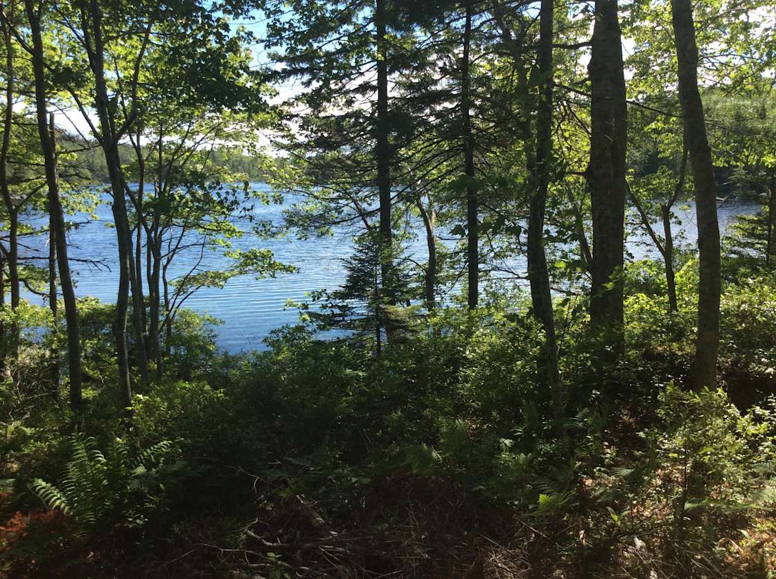 Little Lake Retreat Hipcamp in Port Joli, Nova Scotia
