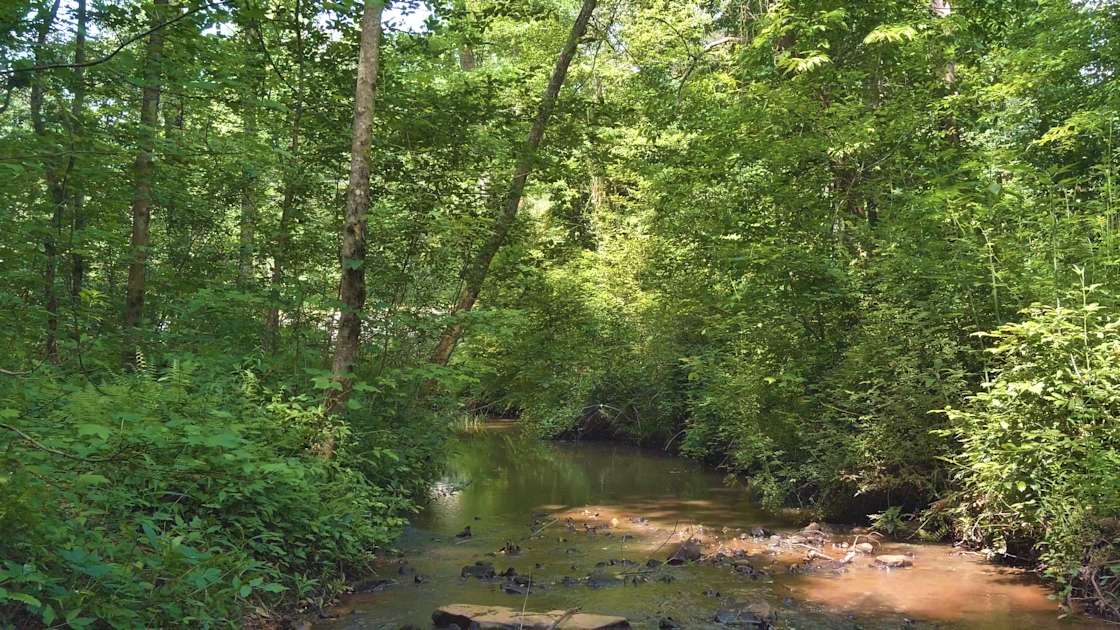 Haven of Hope Hipcamp in Fort Payne, Alabama