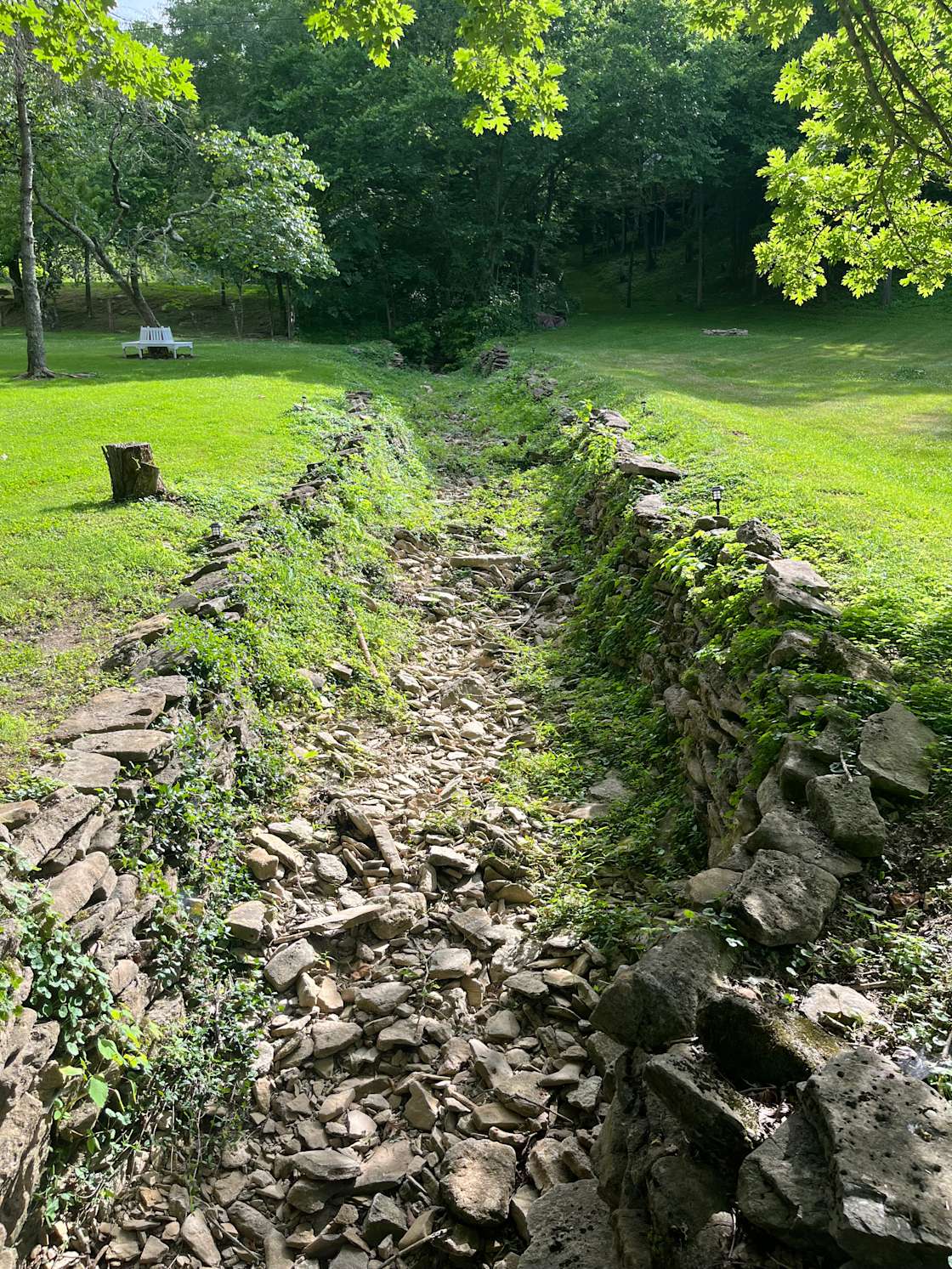 Rock Springs Farm and Sanctuary Hipcamp in Foster, Kentucky