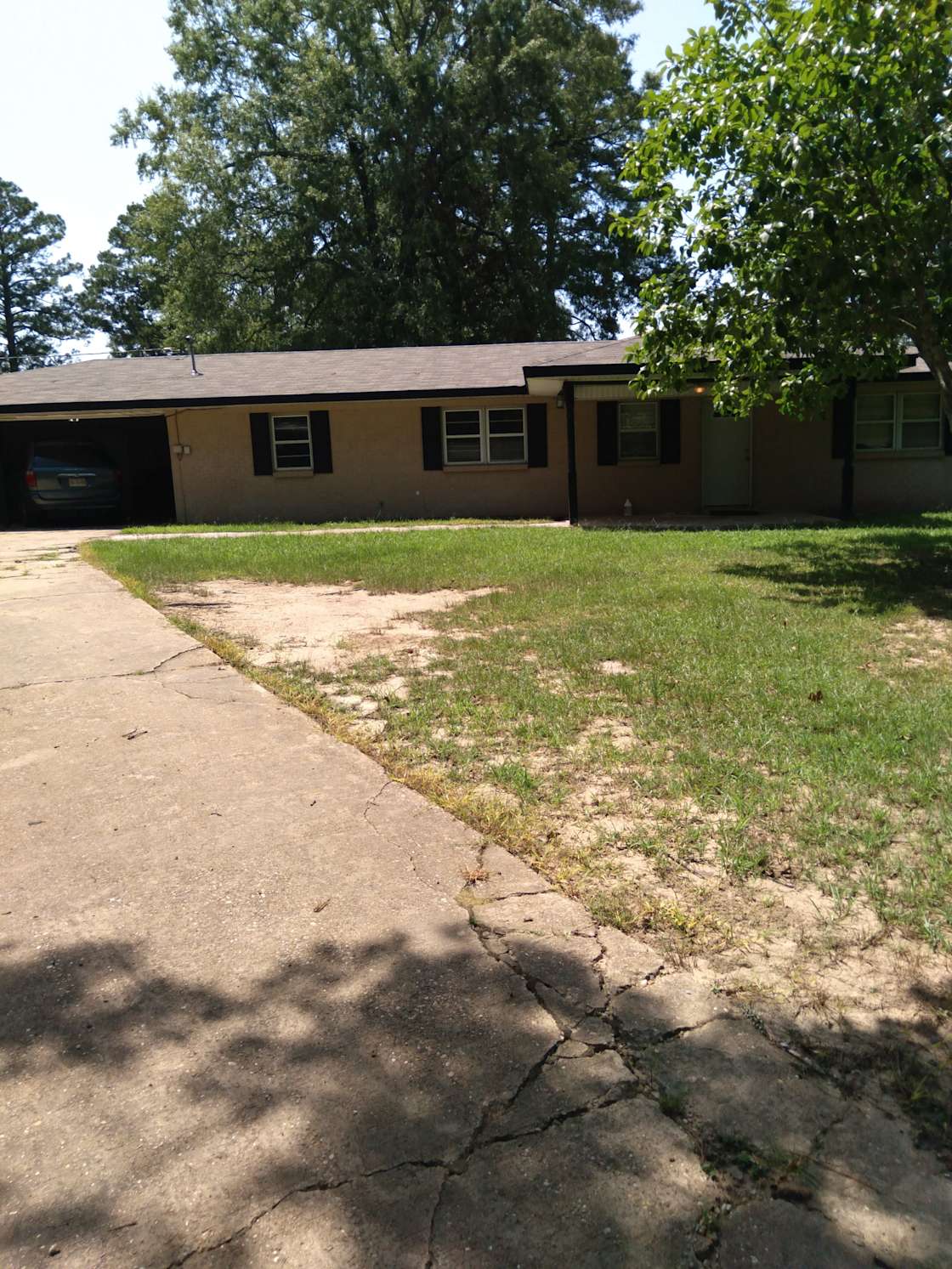 Shugabear's Wooded Retreat Hipcamp in Louisiana