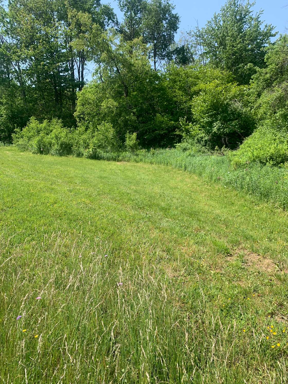 Rocky bottom camp ground Hipcamp in Marathon, New York