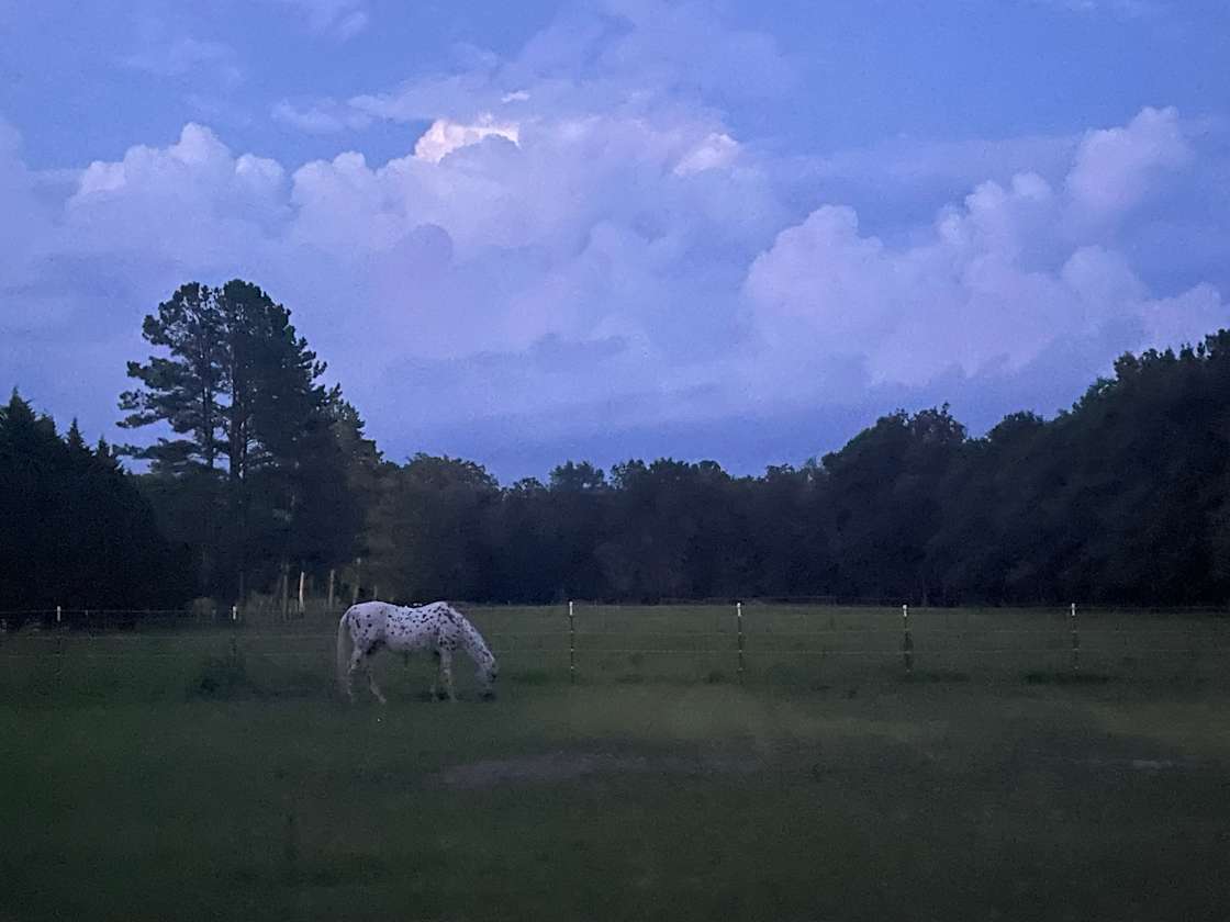 Never Rest Ranch Hipcamp in Ashley Heights, North Carolina