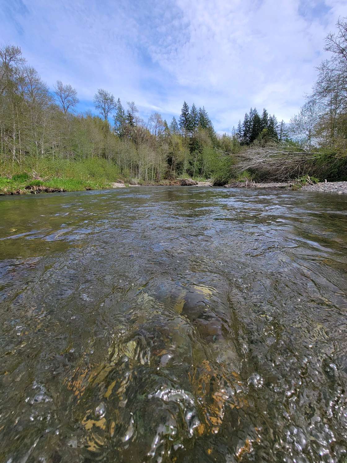 Riverside Camping Hipcamp in Tahuya, Washington