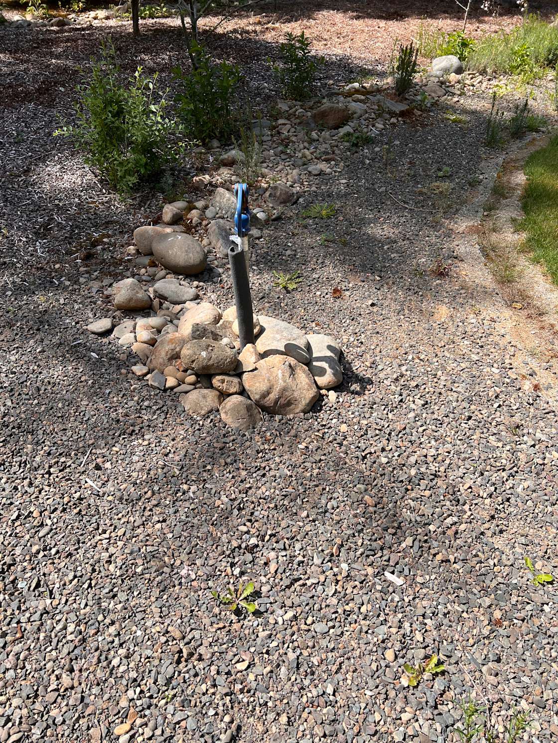 Olson’s Camp Hipcamp in Forks, Washington